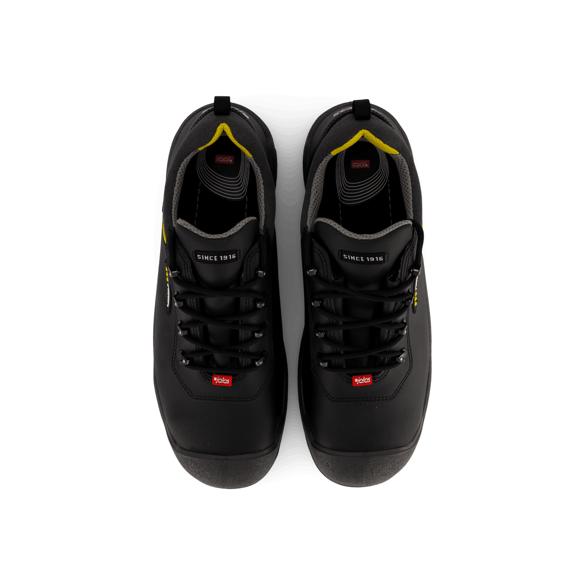 1538 Terra Black