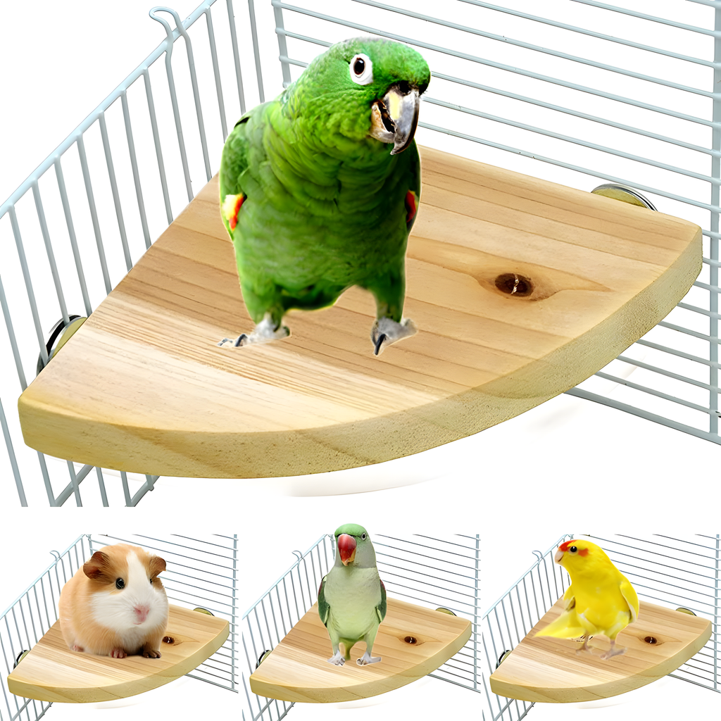 Bird Cage Perch