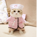 Pet Halloween Costume