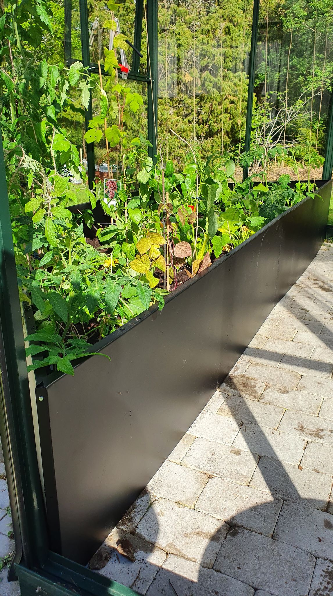 Odlingslåda - VÄXA