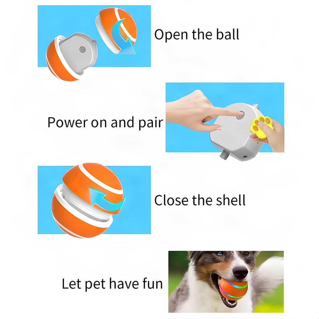 Remote Control LED Dog Ball