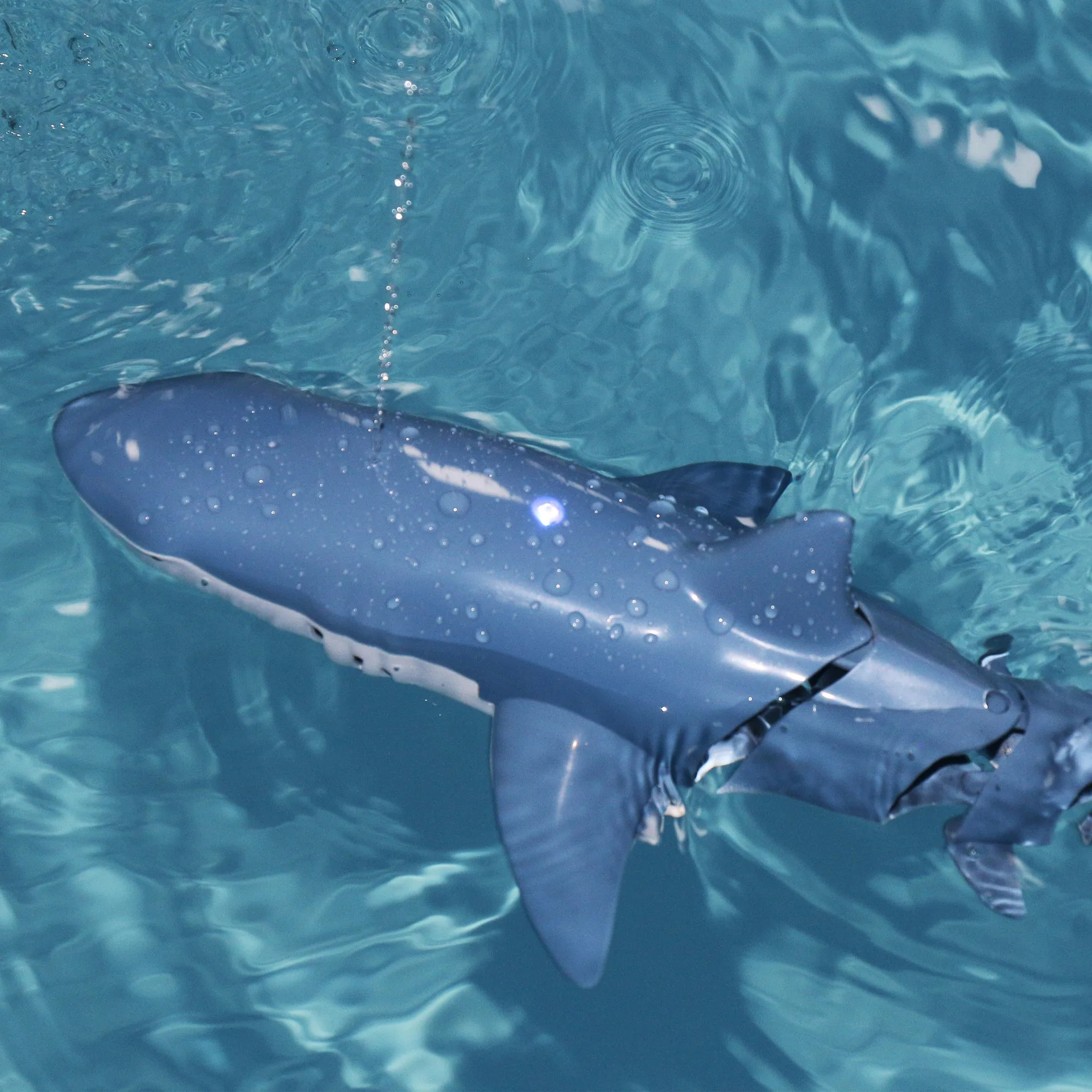 Remote Control Shark Boat