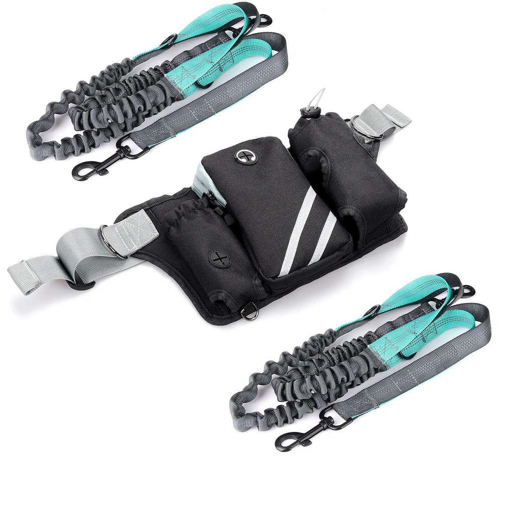 Dog Walking Waist Pack or Leash