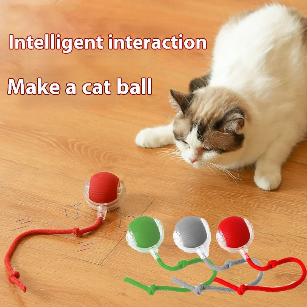 Automatisches Rollball-Katzenspielzeug