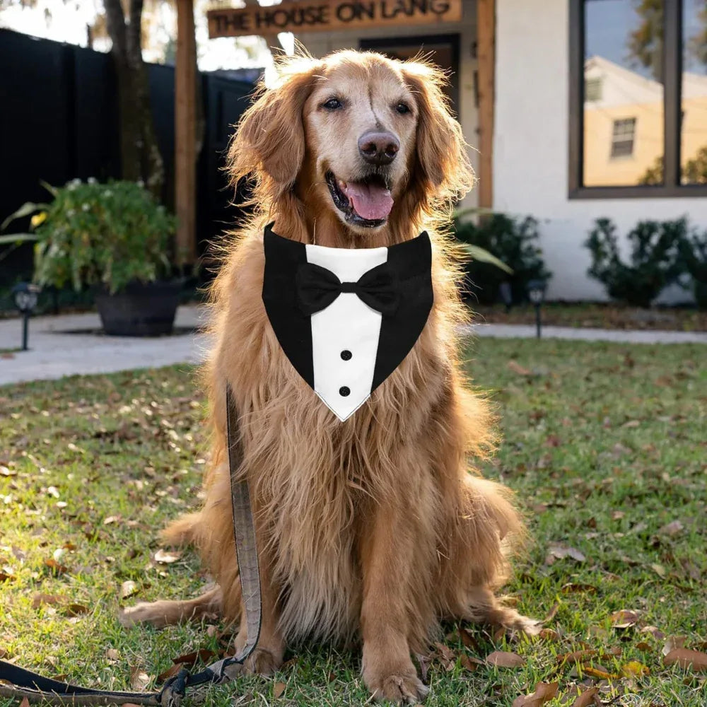 Dog Tuxedo Suit With Bow Tie And Bandana Adjustable Formal Costumes For Small, Medium, Large Dogs Perfect For Weddings Birthdays