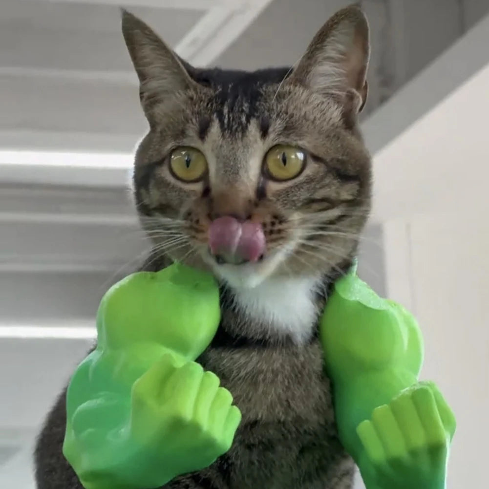 Cat Muscle Arms