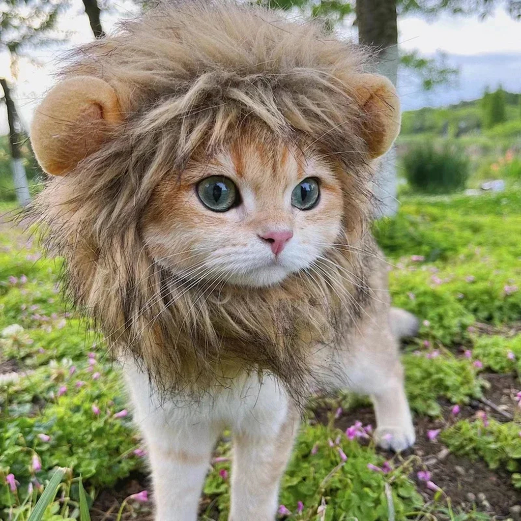 Lion Costume Hat for Pets