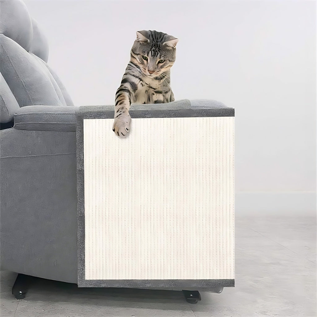 Katzenkratzschutz für Sofa