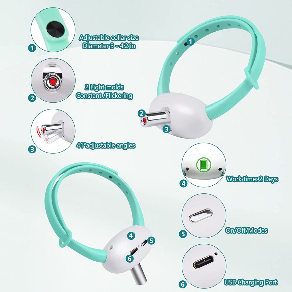 Laserhalsband für Katzen