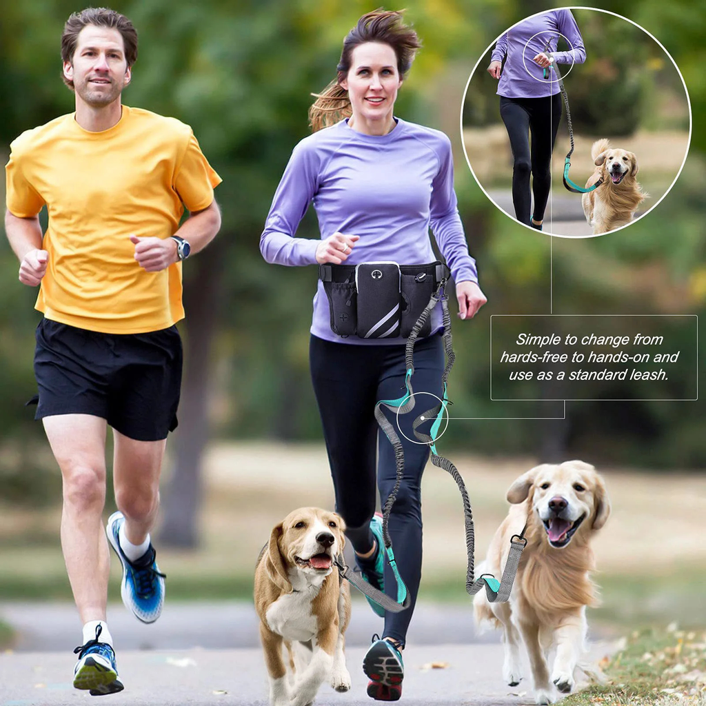 Dog Walking Waist Pack or Leash