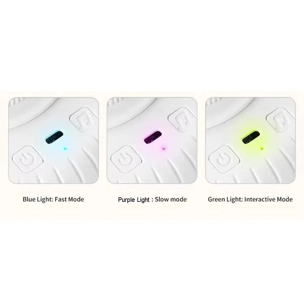 Interactive Cat Play Mat
