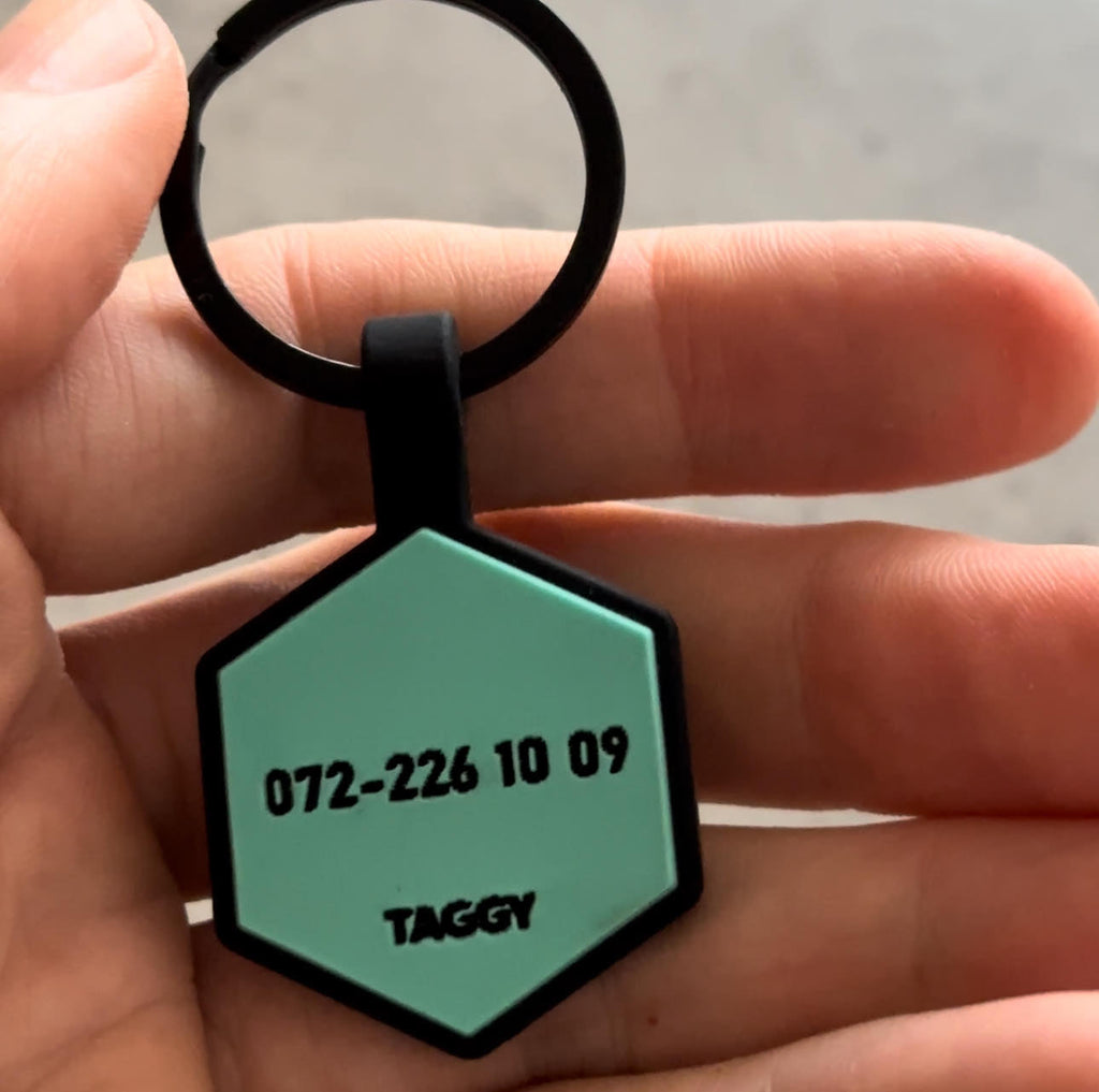 Ljusblå namnbricka till hund - Typsnitt Tea