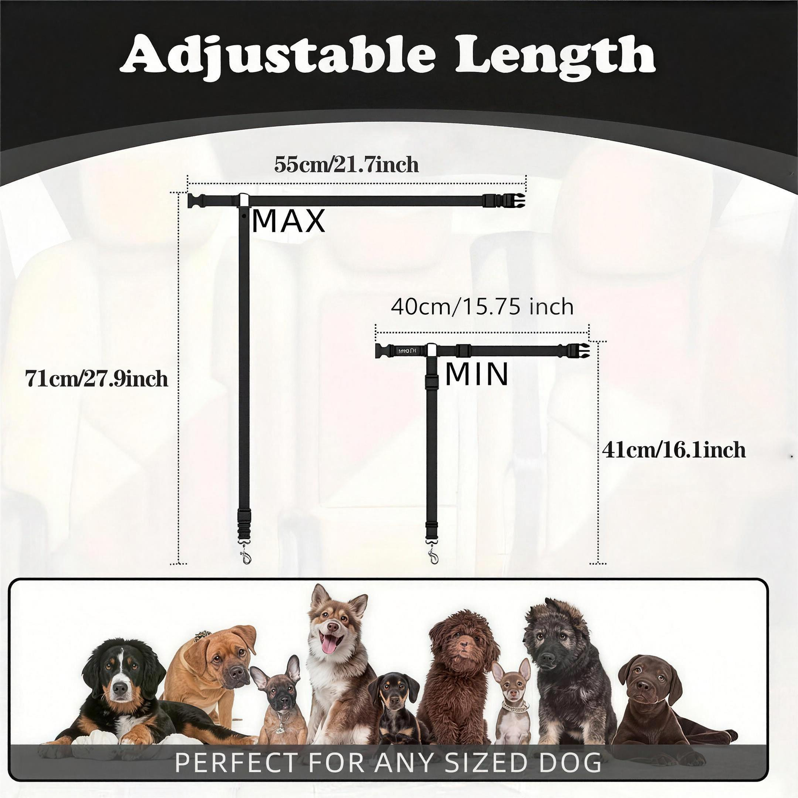Dog Car Seat Belt