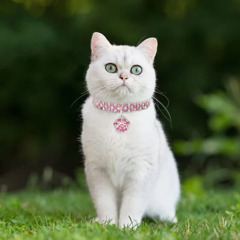 Pet Collar Necklace Jewelry With Diamonds For Cats And Dogs