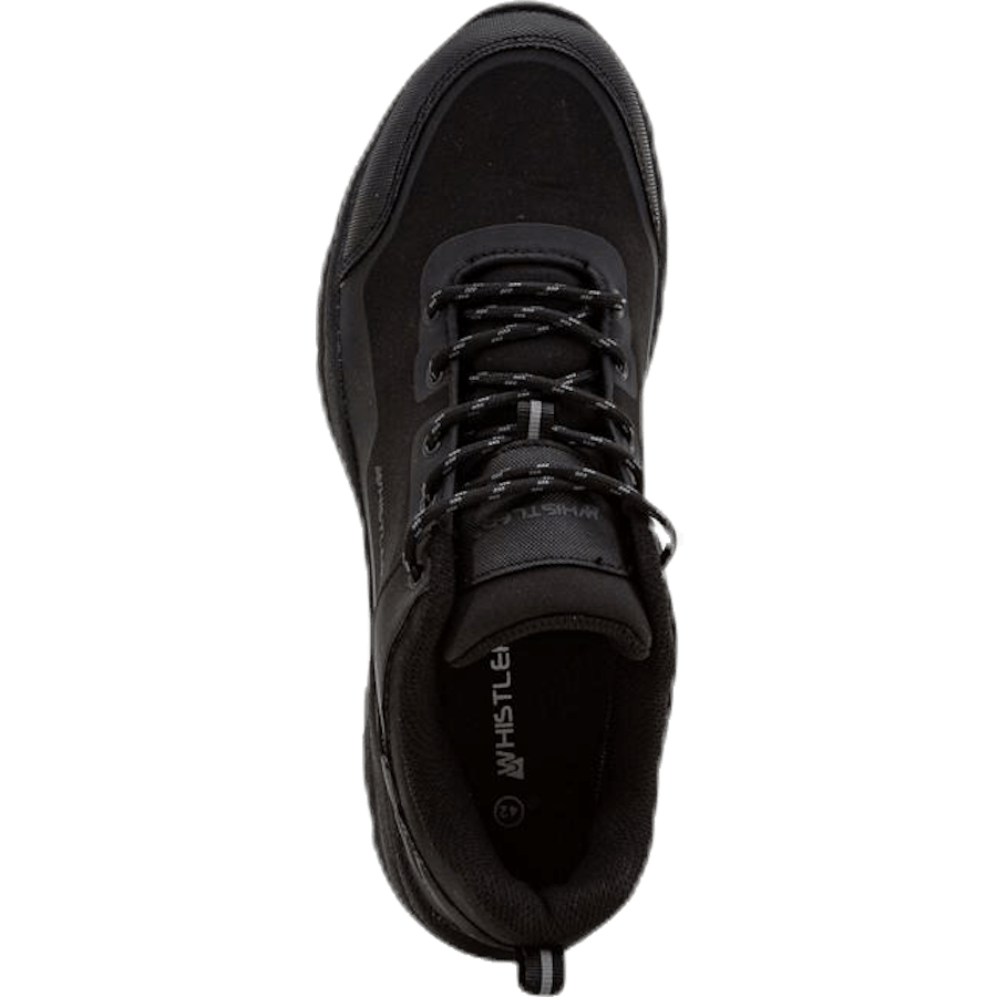 Lake Low Cut Ice shoe Black