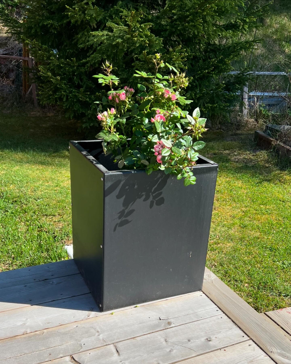 Bottenplåt till Odlingslåda