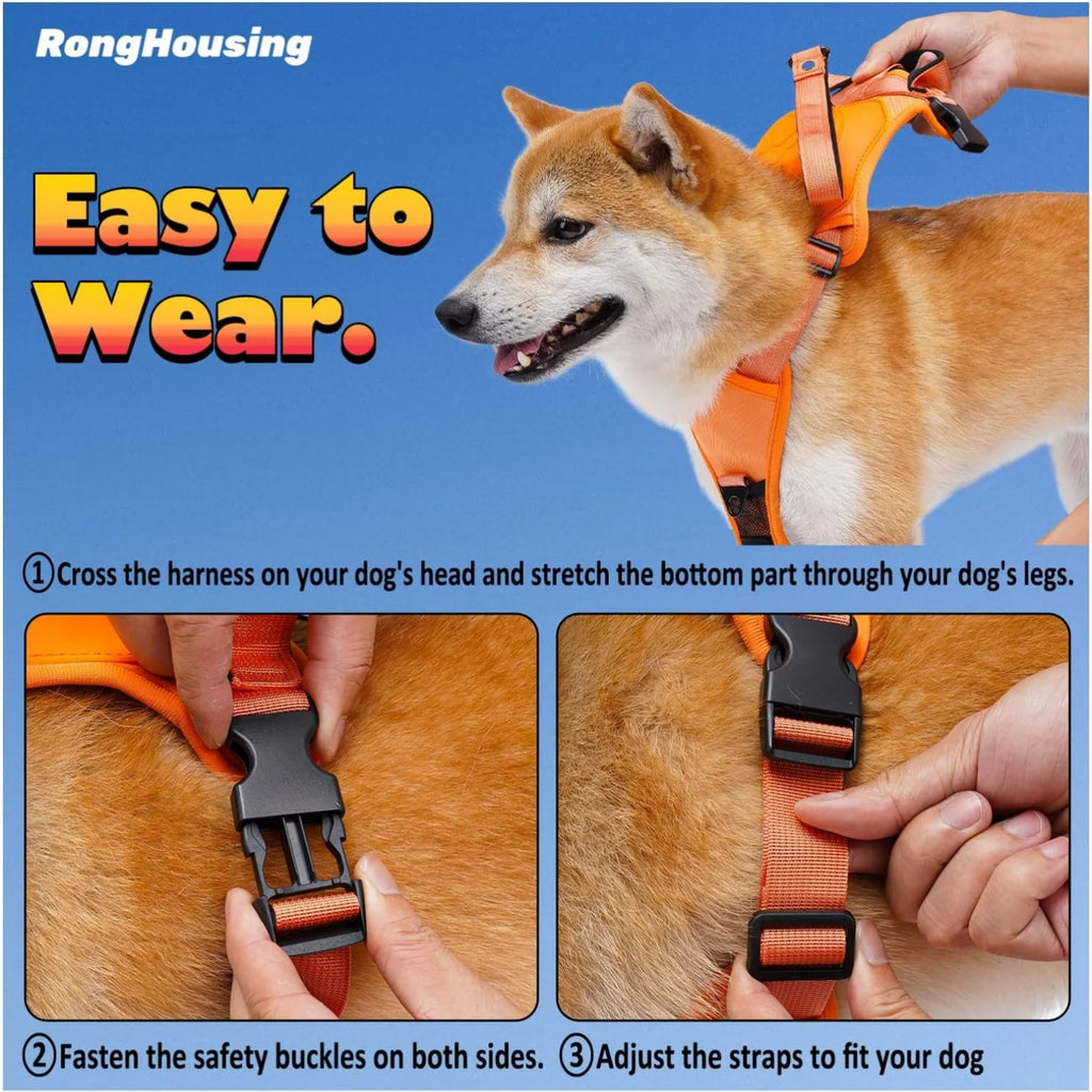 Hundegeschirr und automatisches Rollleinen-Set