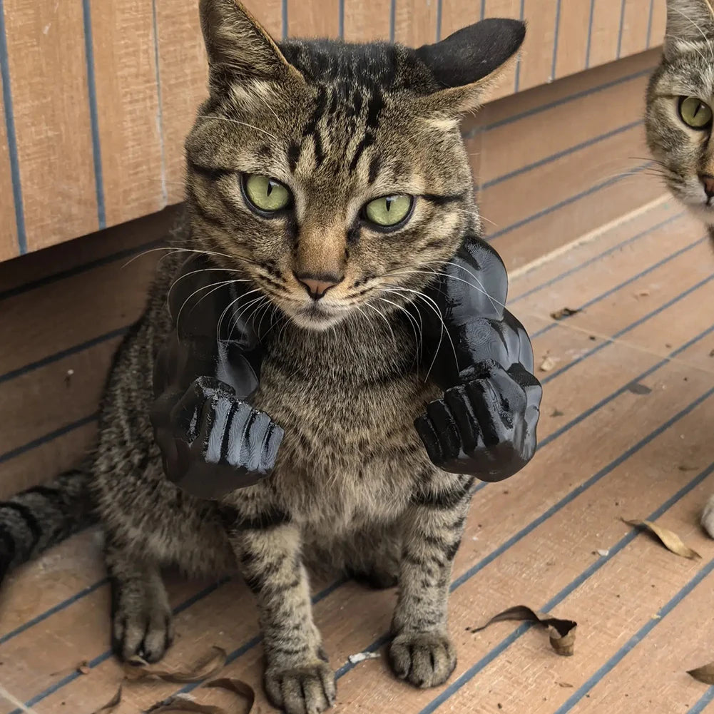 Cat Muscle Arms