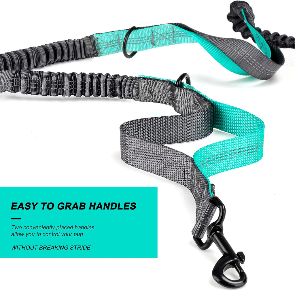 Dog Walking Waist Pack or Leash