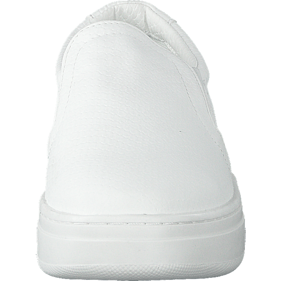 73-42209 White