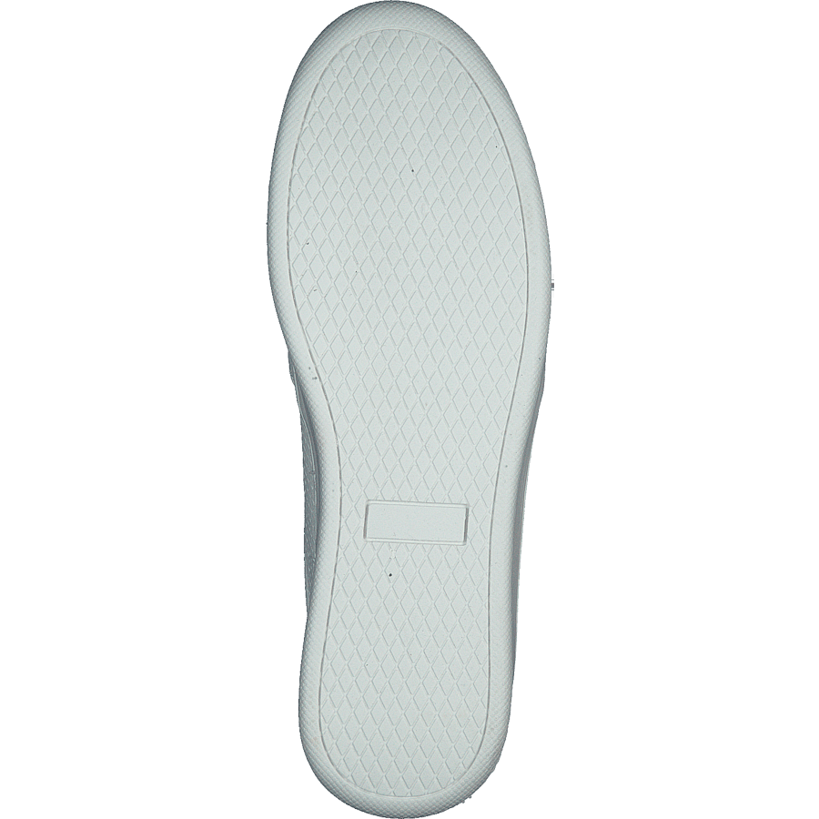 73-42209 White