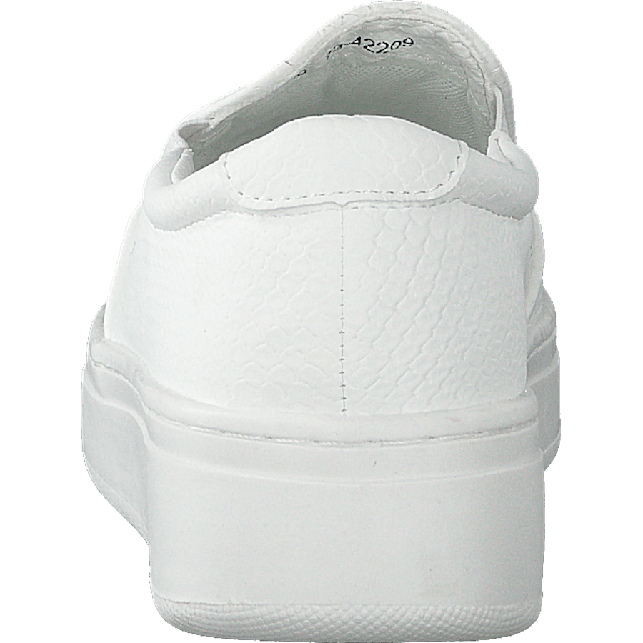 73-42209 White