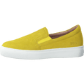 Starlily Yellow