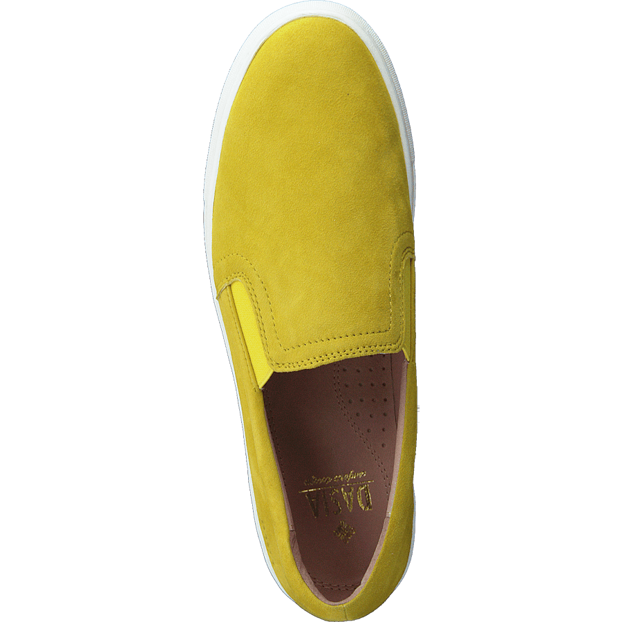 Starlily Yellow