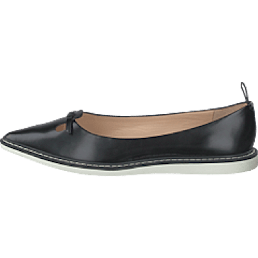 The Mouse Shoe Black