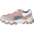 Fina634 Multi-rose