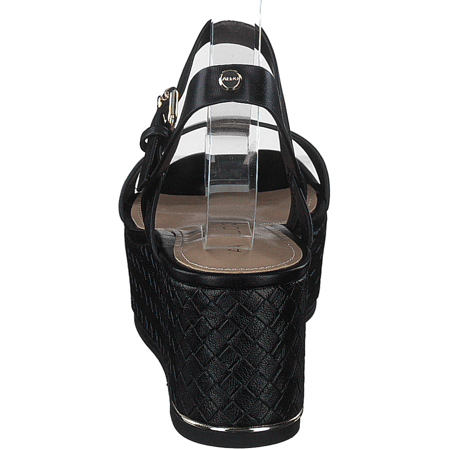 Eloiniel Black
