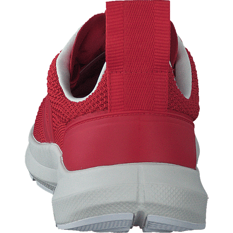 Performance Runner V-knit Rick Carnelian