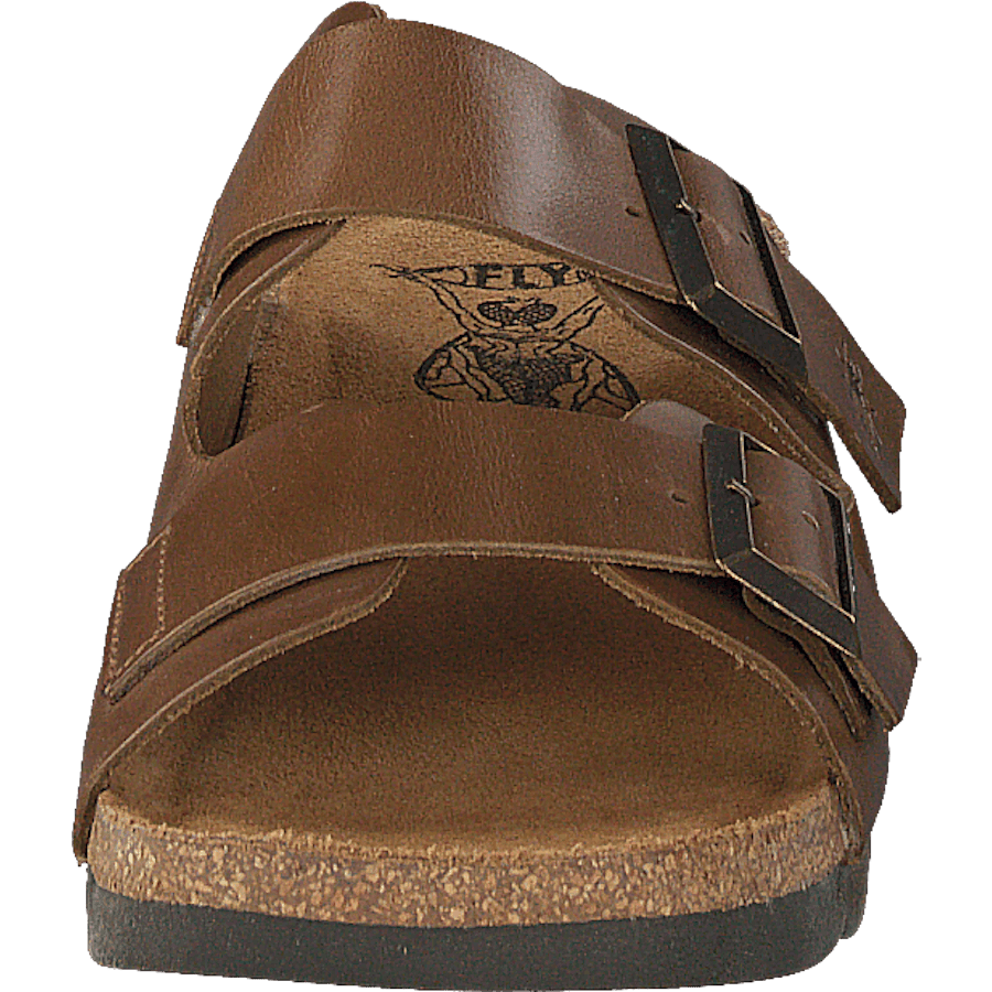 Caja721fly Camel