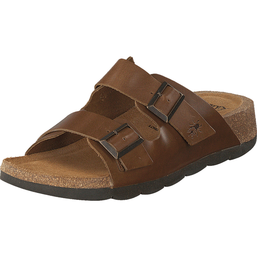 Caja721fly Camel