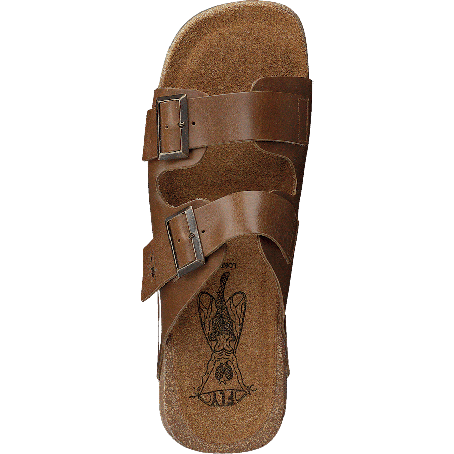 Caja721fly Camel