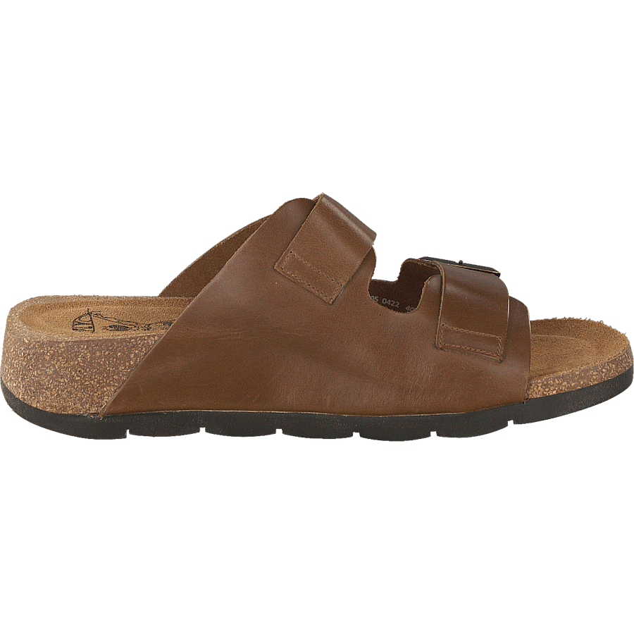 Caja721fly Camel
