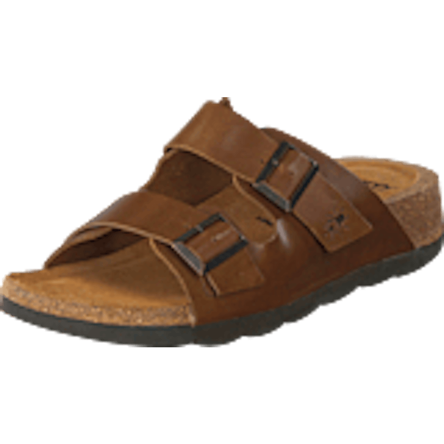 Caja721fly Camel