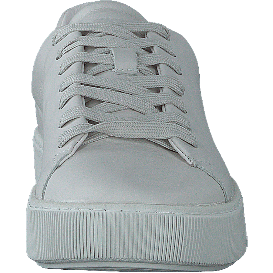 Rainbow Warrior White