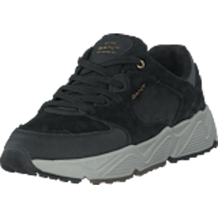 Nicerwill Sneaker Black