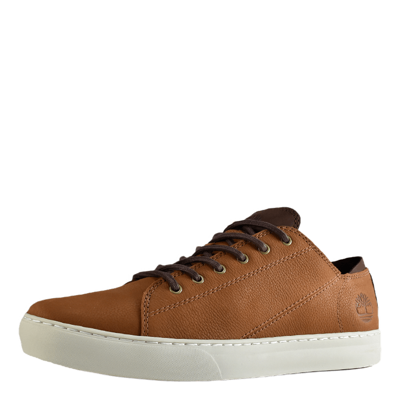 Adventure 2.0 Cupsole Modern Saddle