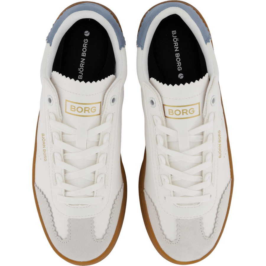 T2500 Gum Gmp W Wht-lblu