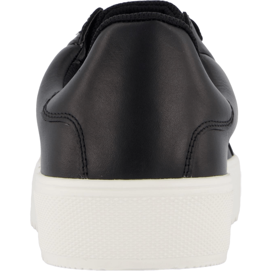 Rex Turin Gtx Black