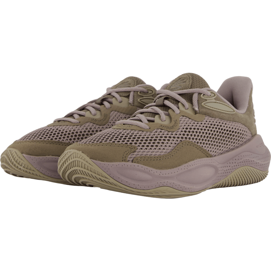 Curry Splash 24 Sde Camel