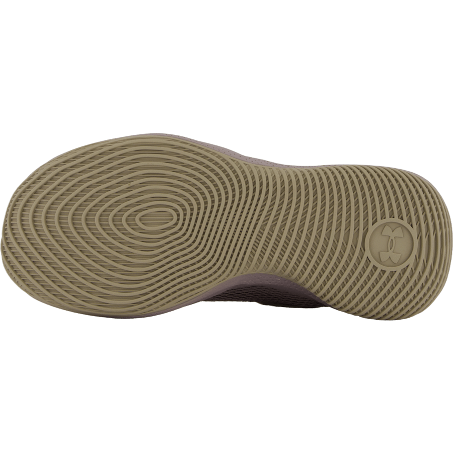 Curry Splash 24 Sde Camel