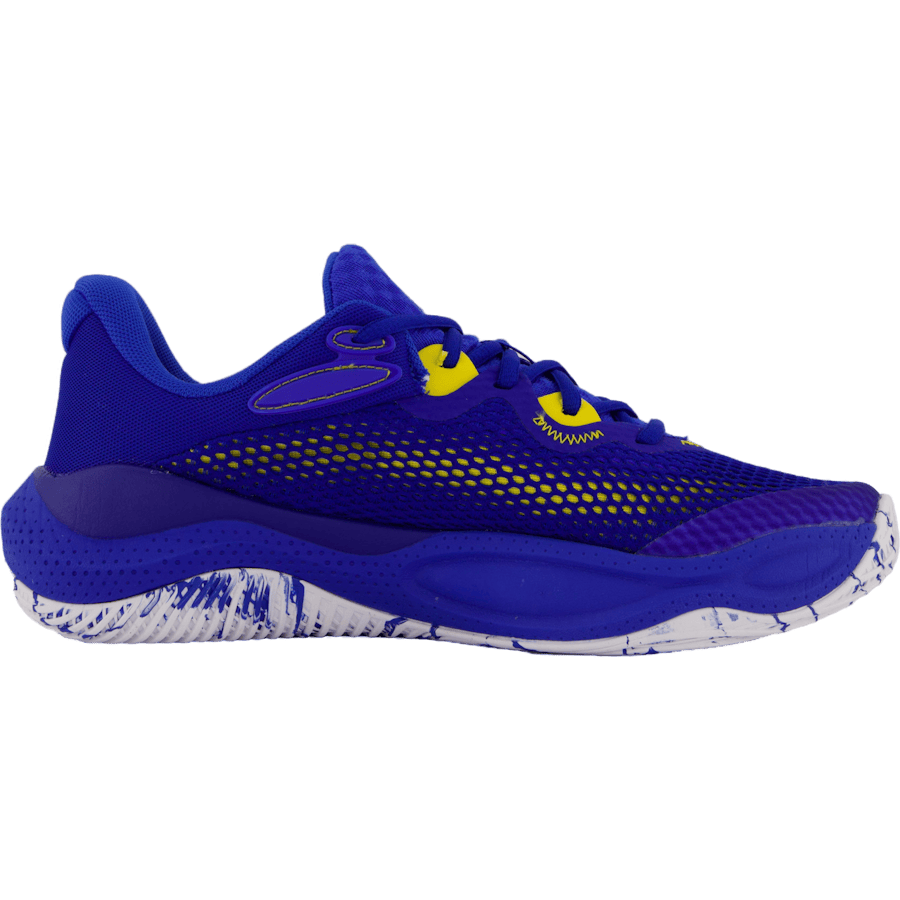 Curry Splash 24 Royal