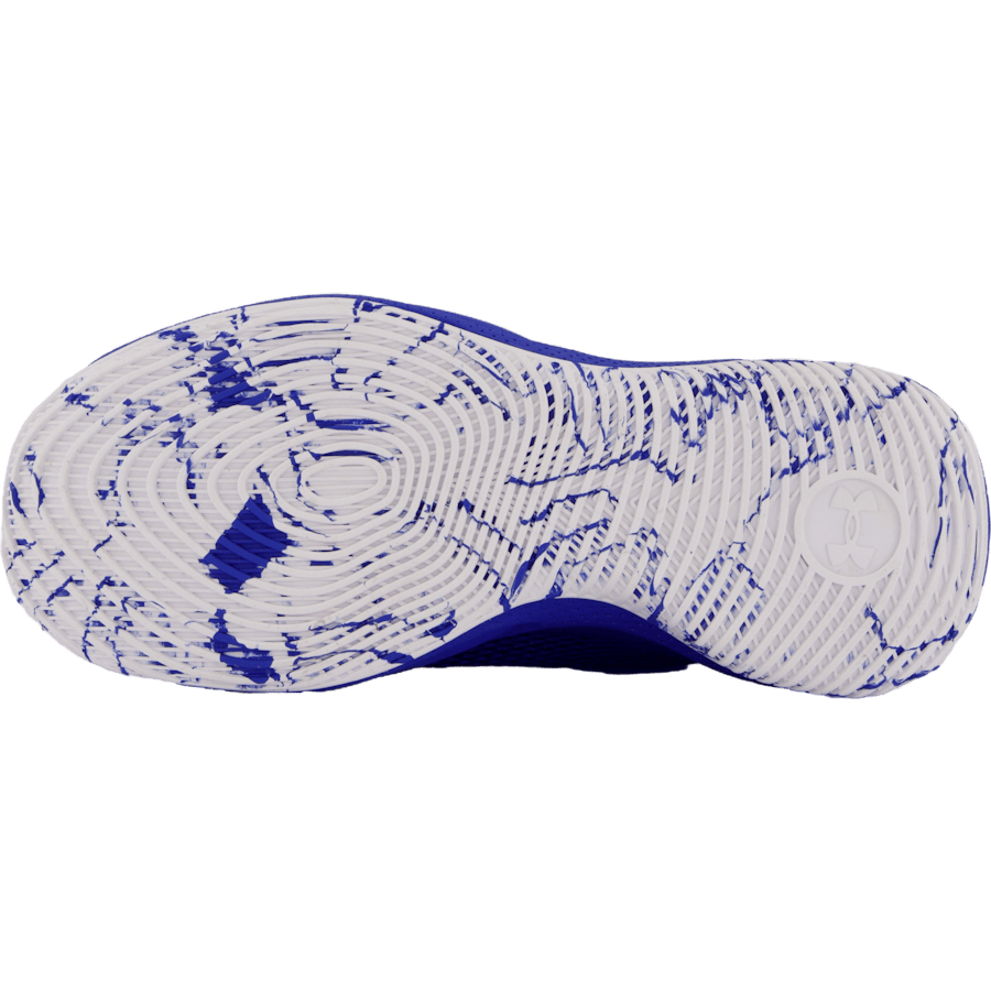 Curry Splash 24 Royal