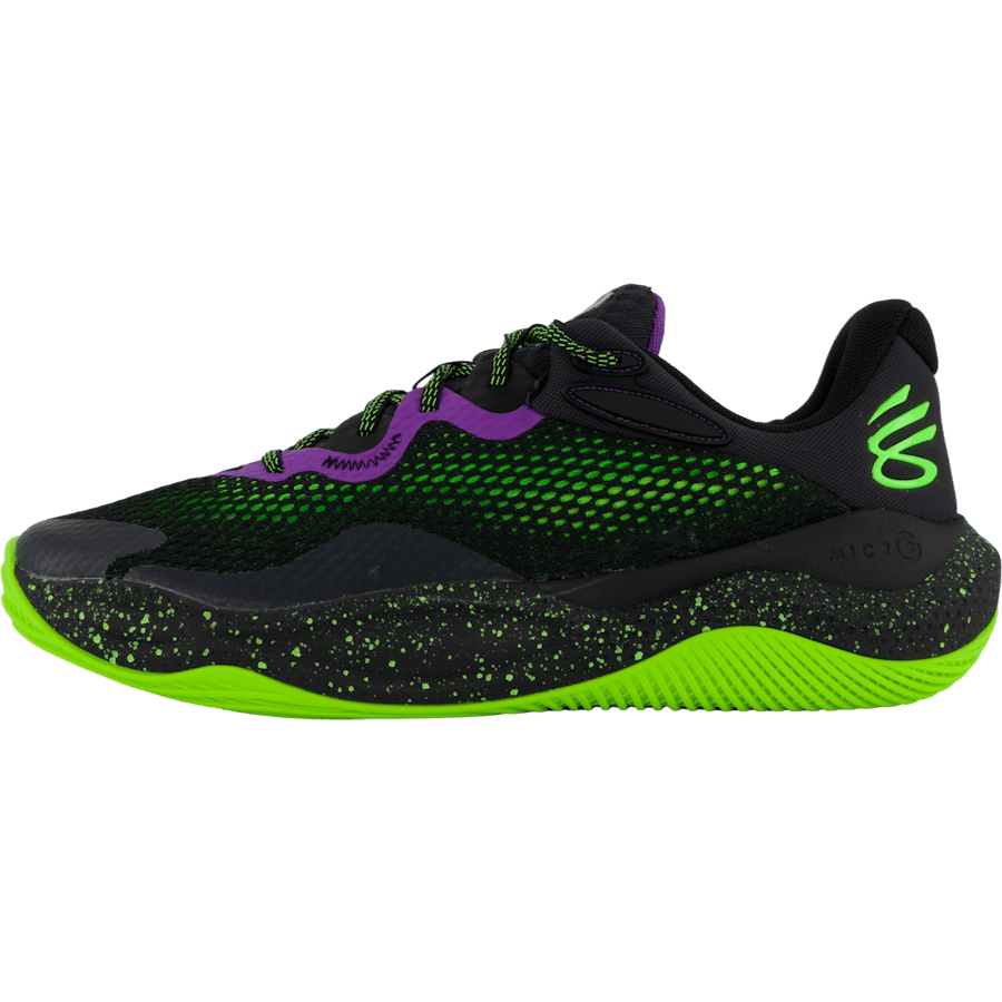 Curry Splash 24 Purple