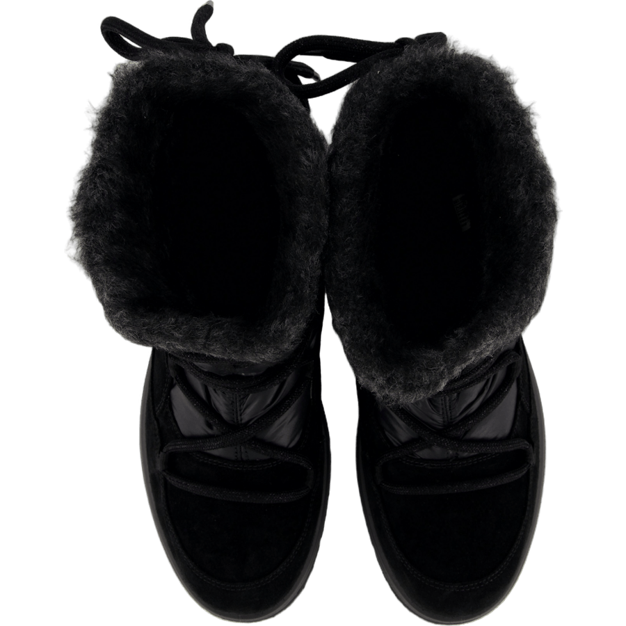 Campania Schwarz ( Schwarz)
