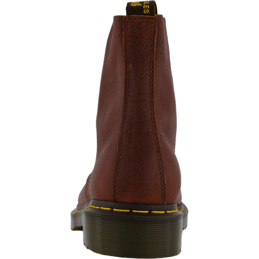 1460 Pascal Cashew Ambassador