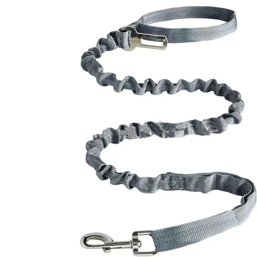 Durable Dog Reflective Polyester Pet Leash
